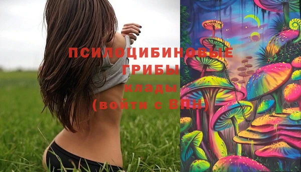 ГАЛЛЮЦИНОГЕННЫЕ ГРИБЫ Михайловск