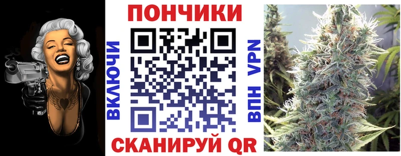Шишки марихуана конопля  Каргополь 